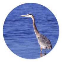 Great Grey Heron Round Stickers