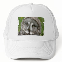 Great Grey Owl Baseball Hat