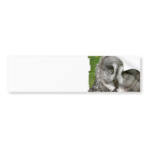 Great Grey Owl Bumper Sticker