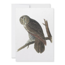 Great Grey Owl, John Audubon