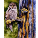 Great Grey Owl Photo Sculpture photo sculptures