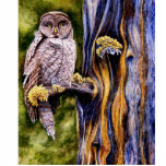 Great Grey Owl Photo Sculpture photo sculptures