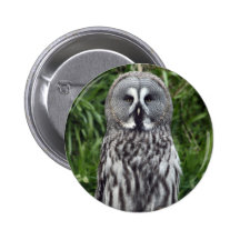 Great Grey Owl Pinback Button