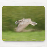 Great Horned Owl (Bubo virginianus) Mouse Mats