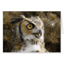 Great Horned Owl cards