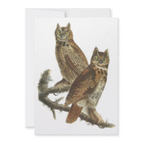 Great Horned Owl, John Audubon