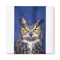 Great horned owl refrigerator magnet