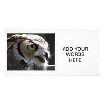 Great Horned Owl Personalised Photo Card