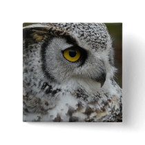 Great Horned Owl Photograph Pins