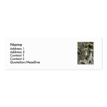 Great Horned Owl, profile/business card