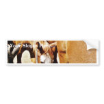 Great Horse Bumper Sticker