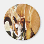 Great Horse Refrigerator Magnet