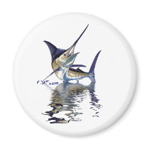 Great marlin with reflection in water