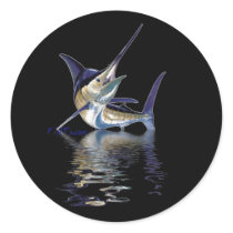 Great marlin with reflection in water