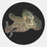 Great ocean octopus octapi stickers
