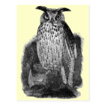 Great Owl Post Card
