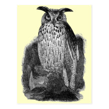 Great Owl Post Card