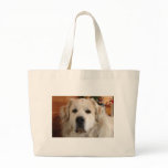 GREAT PYRENEES BAG