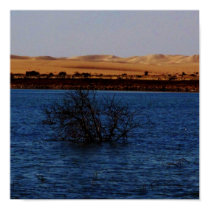 Great Sand Sea, Siwa Oasis, EGYPT posters