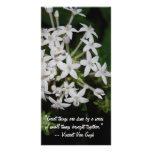 Great sayings and Quotes- White flowers photo cards