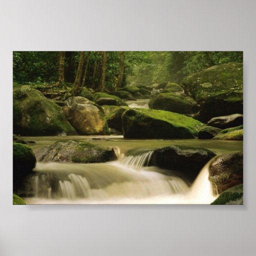 Great Smoky Mountain National Park, TN 2 Poster