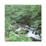Great Smoky Mountains Stream Magnet