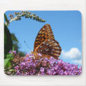 Great Spangled Frit ~ mousepad