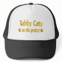Great Tabby Cat hats