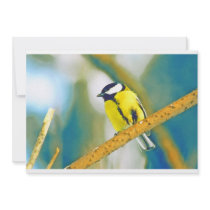 great tit on branch (parus major) - watercolor