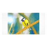 great tit on branch (parus major) - watercolor photo cards