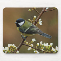 Great Tit on rainy day mousepad