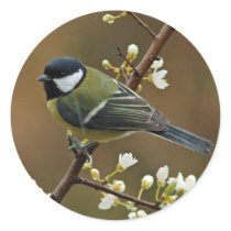 Great Tit on rainy day stickers