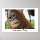 Great Tooth for a Great Ape posters