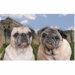 Great wall of PUG china sculpture photo sculptures