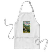 Great Western Railway ~ Wales Aprons