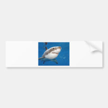 Great White Shark Bumper Sticker