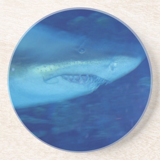 Great White Shark Coaster