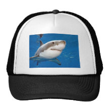 Great White Shark Hat