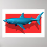 Great White Shark Print