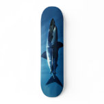 great white shark skateboard
