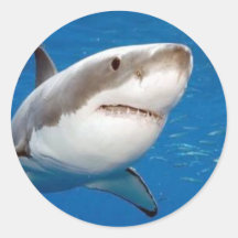 Great White Shark Sticker