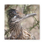 Greater Roadrunner Magnet