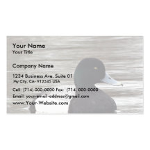Greater Scaup Drake Business Card Template