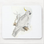 Greater Sulphur-Crested Cockatoo by Edward Lear mousepads