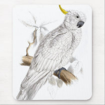 Greater sulphur-crested Mousepad mousepads
