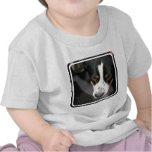 greater-swiss-mountain-dog-1.jpg t shirts