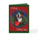 Greater Swiss Mountain Dog Christmas Gifts cards