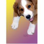 Greater Swiss St. Bernard smiling rescue dog pin photo sculptures