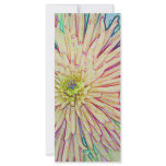 Greatful_ rack cards