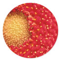 Greber Daisy stickers